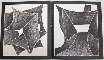 [Редкость, номерной экз.] Д.Р. Грабов (Григорий Капелян). Вильям Бруй. От противного (Работы 