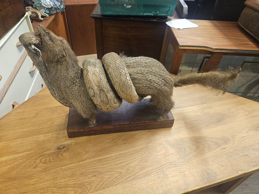 Edwards Auctions | coins silver military collectable furniture