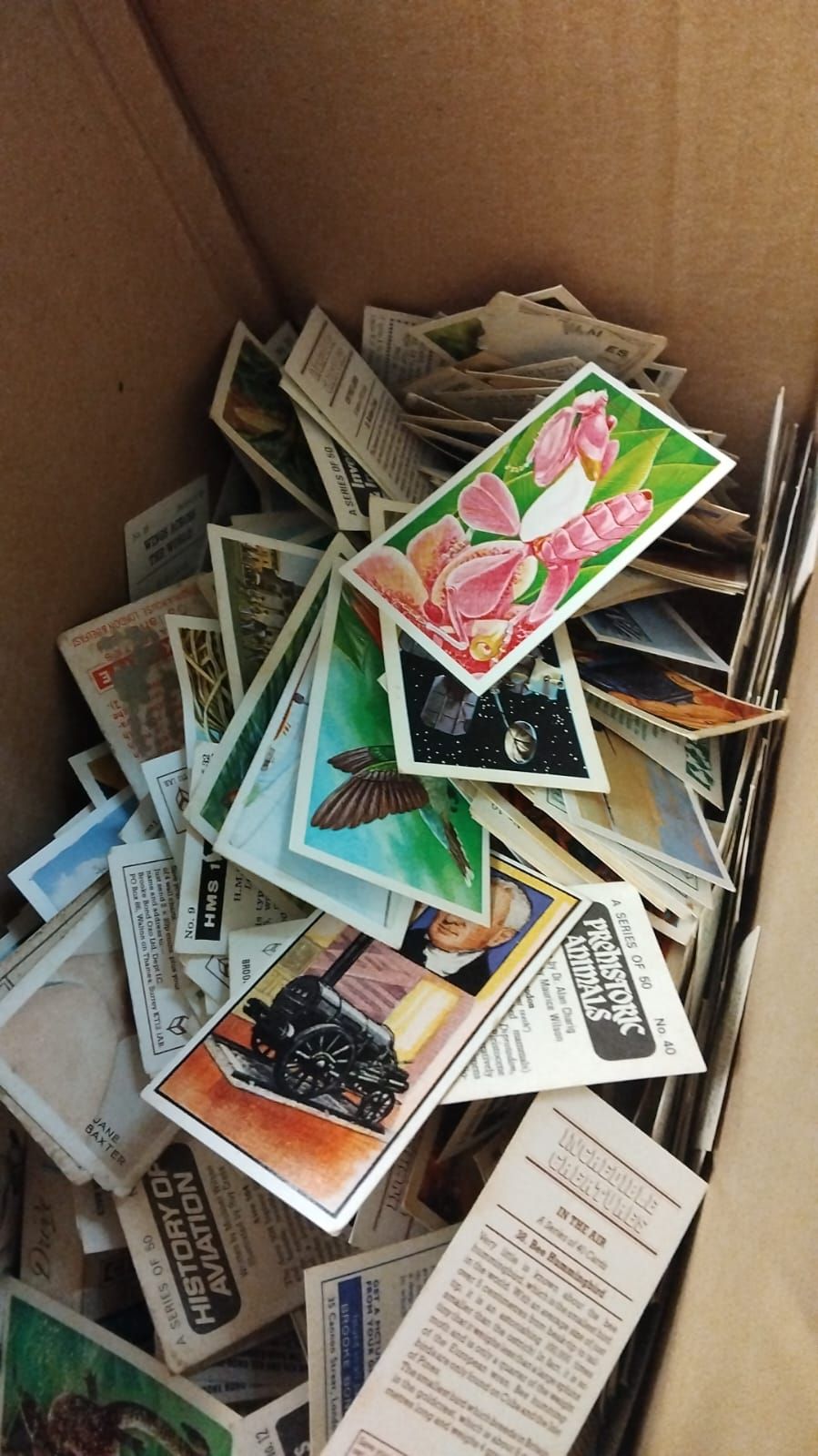 Lot 288 – A Significant Collection of Brooke Bond Tea Cards