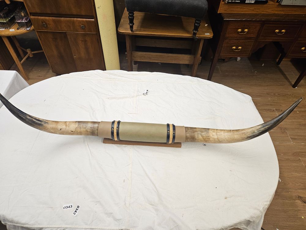Lot 136 – Mounted Steer Longhorns with Leatherette and Cord Accents