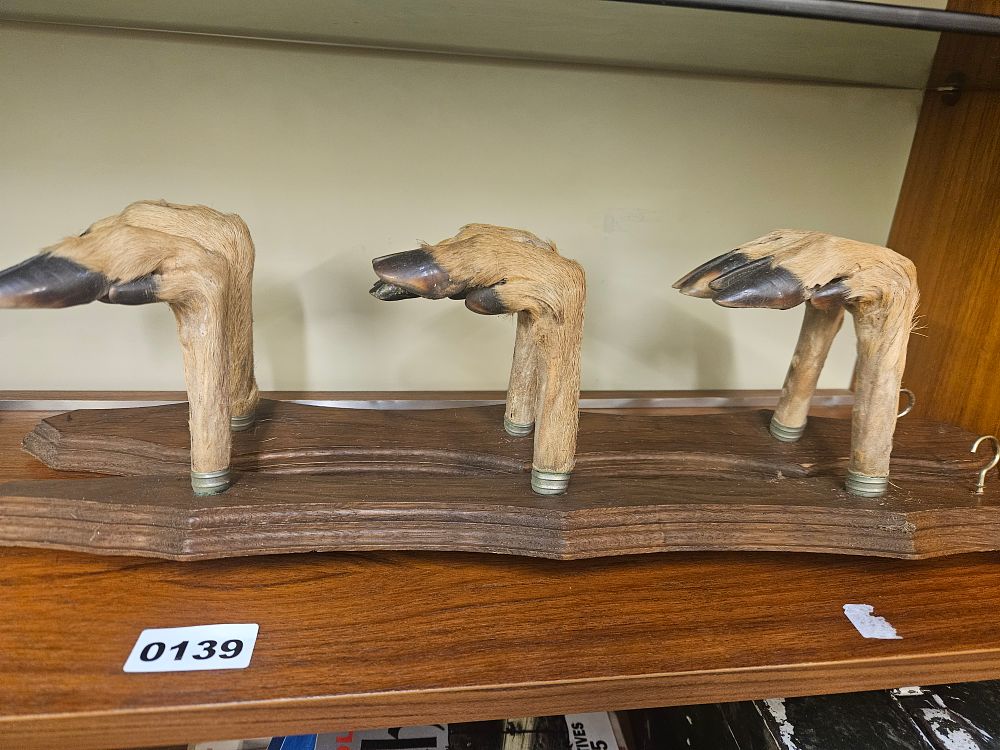 Lot 139 – A Vintage Taxidermy Wall Rack with a Trio of Deer Hoof Hooks