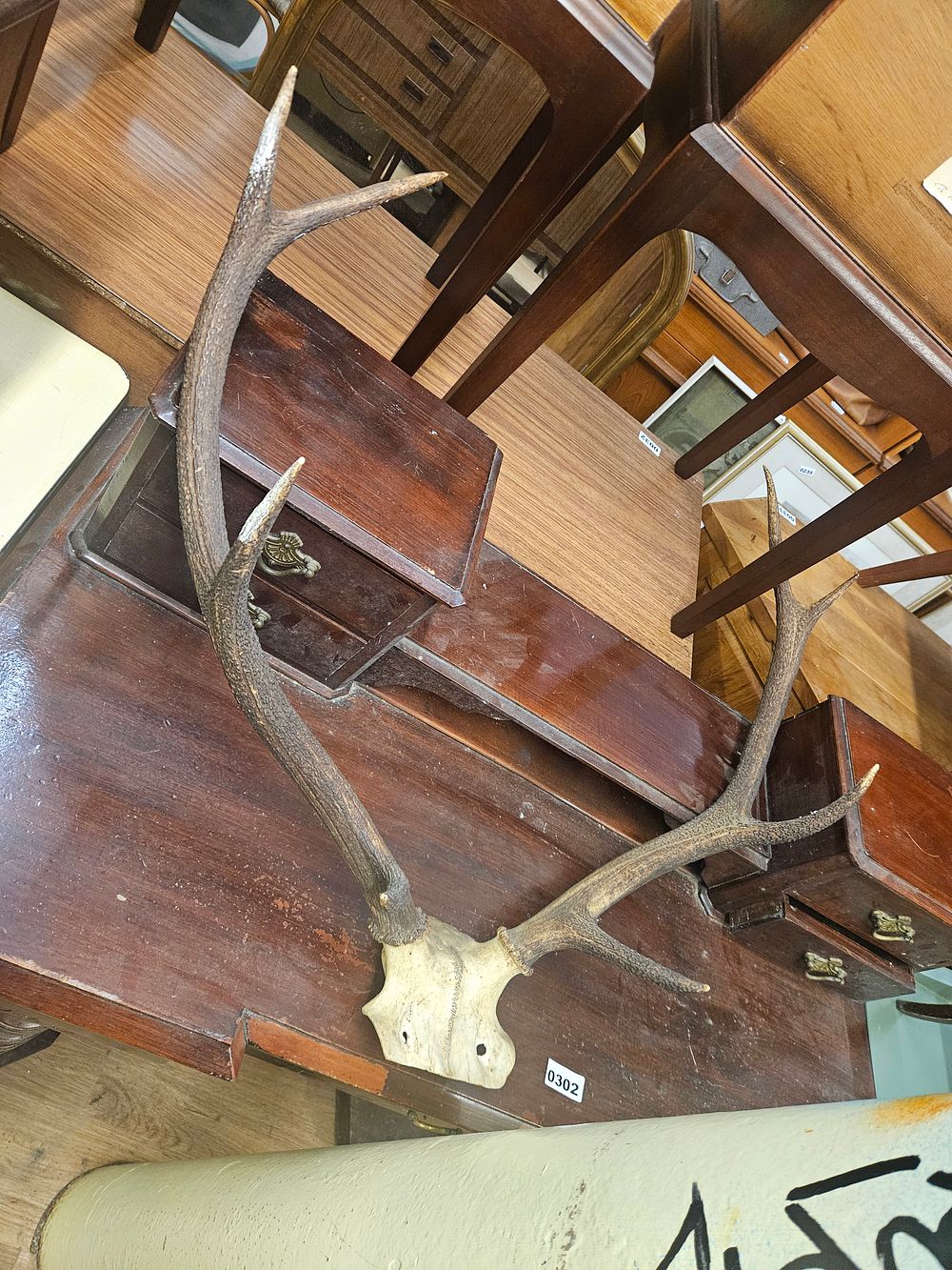 Lot 142a – Taxidermy antlers