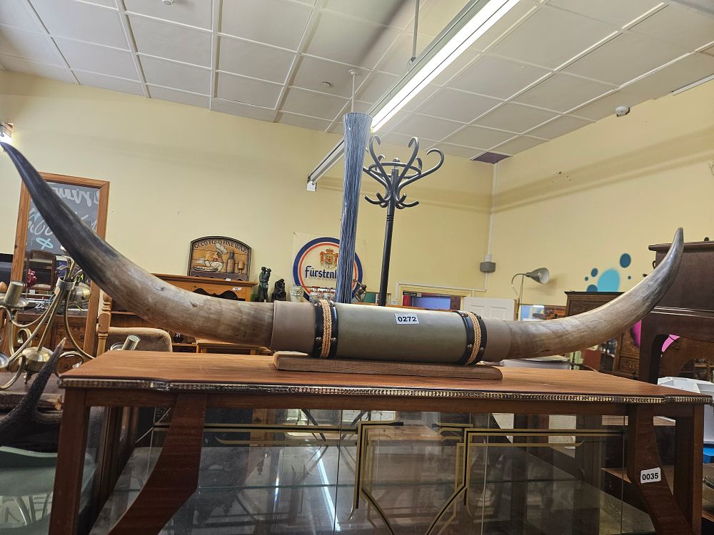 Lot 272 – A Pair of Large Mounted Longhorn Cattle Horns