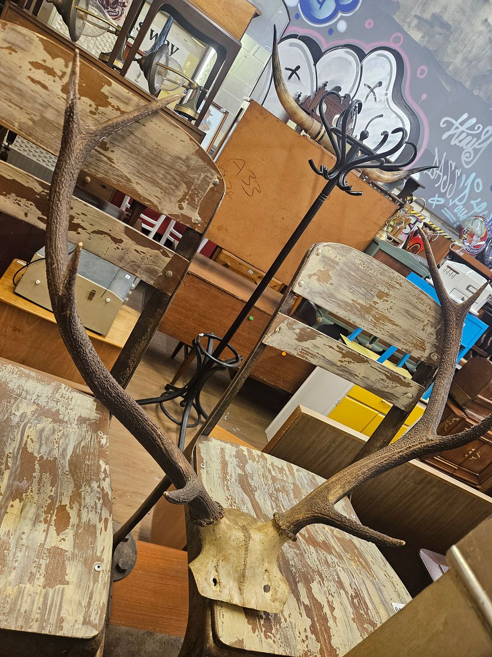 Lot 247 – A Large Pair of Red Deer Antlers on Skull Cap