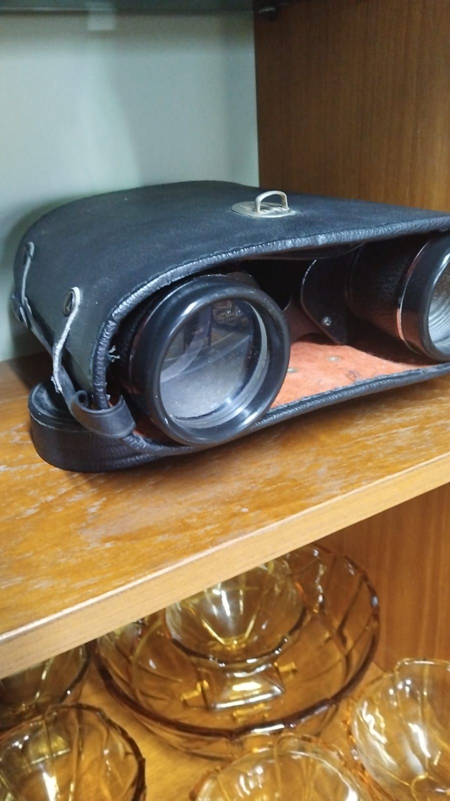 Lot 309 – Vintage Porro-Prism Binoculars in Original Carrying Case