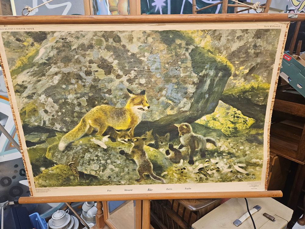 Lot 369 – Vintage Swedish Educational Wall Chart of Foxes by Thure Wallner