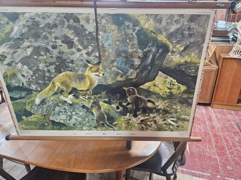 Lot 280 – Vintage Thure Wallner Educational Pull-Down Wall Chart Depicting Red Foxes