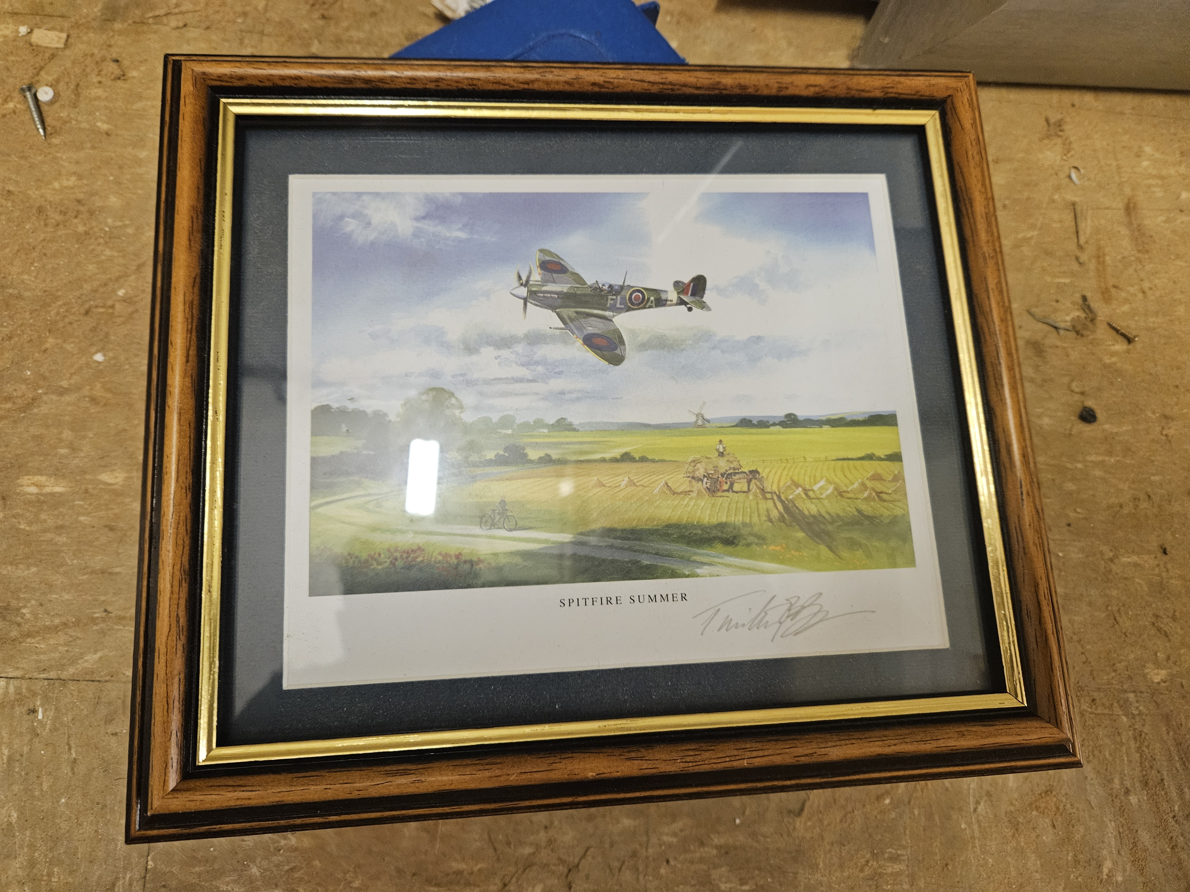 Trevor Mitchell, Spitfire Summer, Signed Colour Print