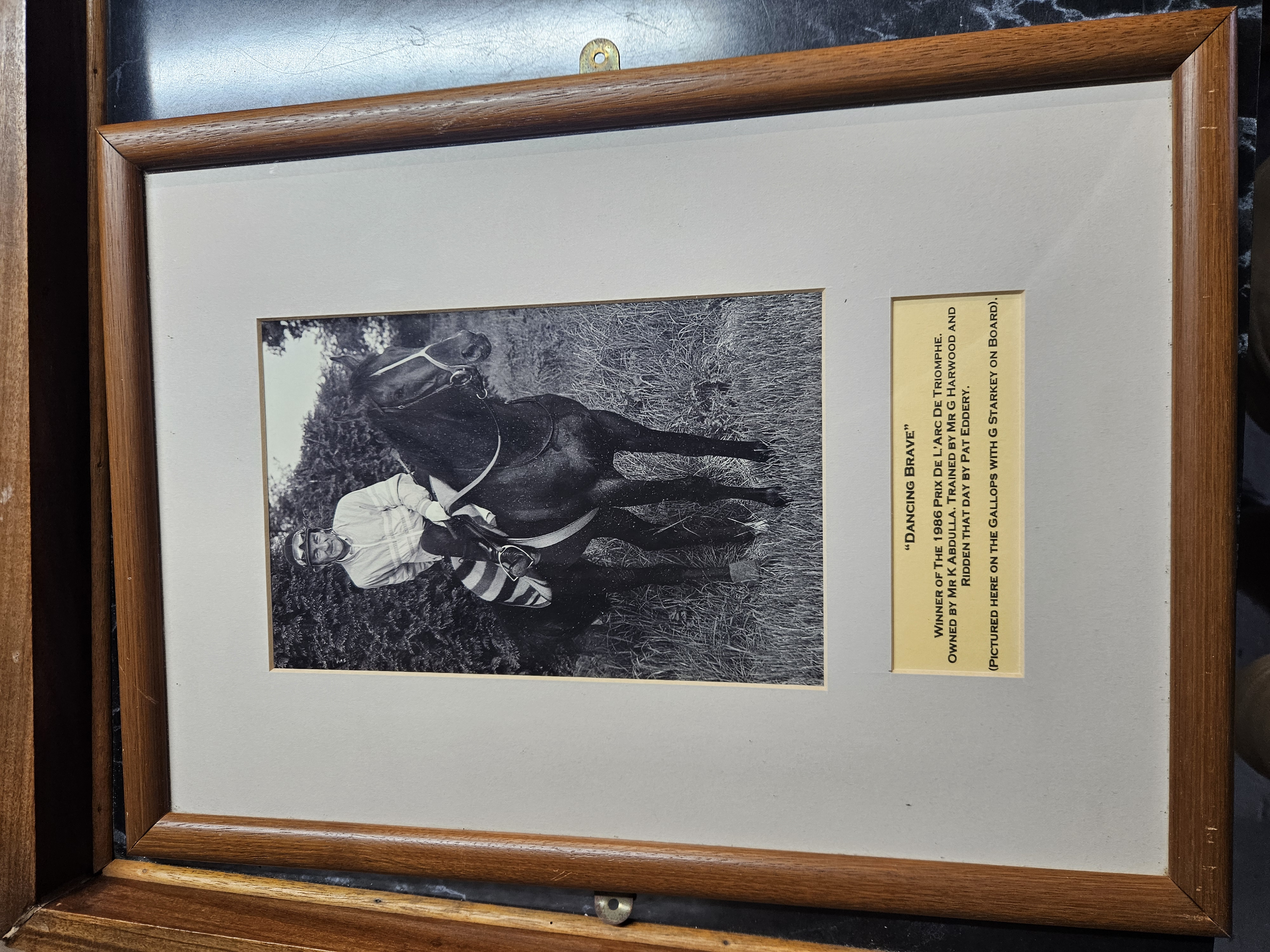 Framed Commemorative Black and White Photograph of Racehorse Dancing Brave