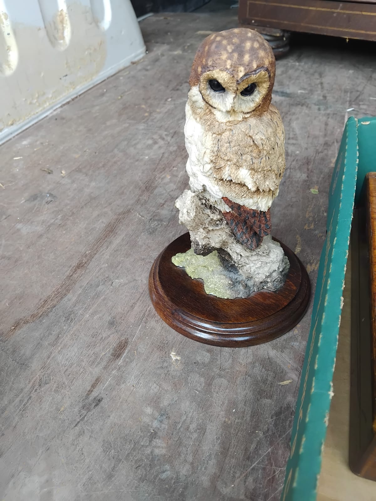 Country Artists Tawny Owl Figurine on Wooden Plinth