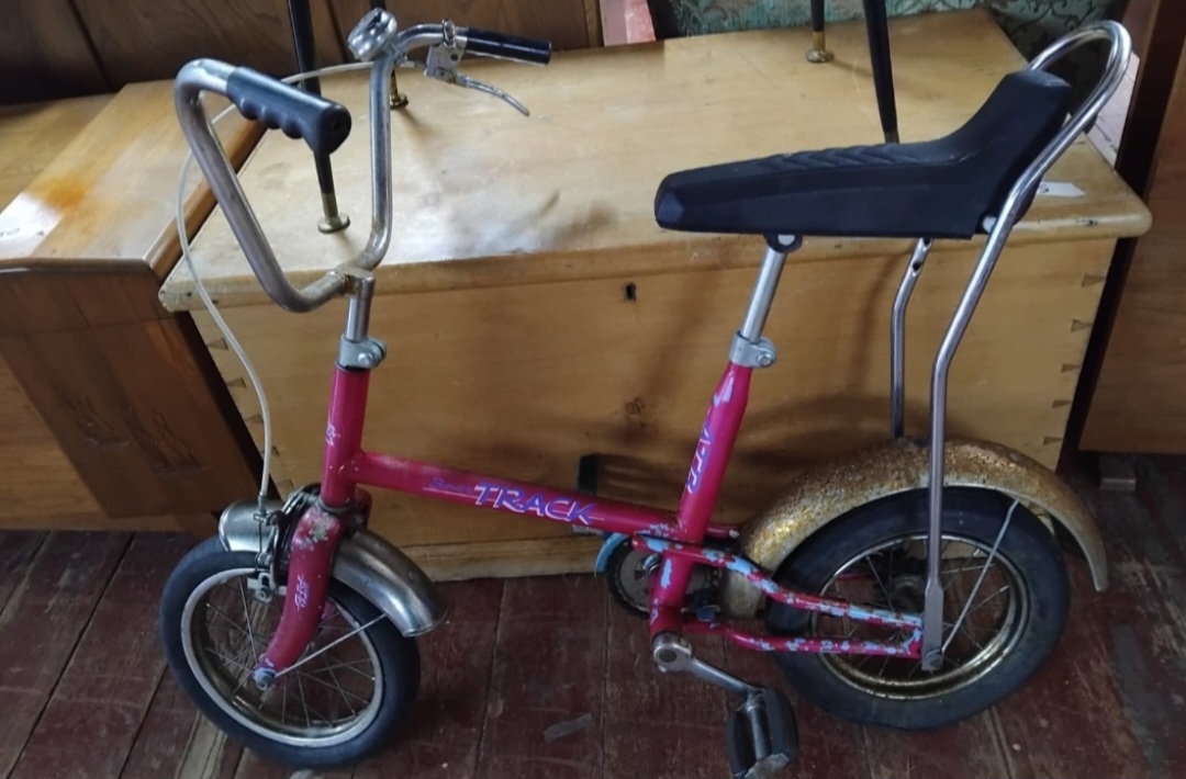 Track Max Child's Mini Chopper Style Bicycle