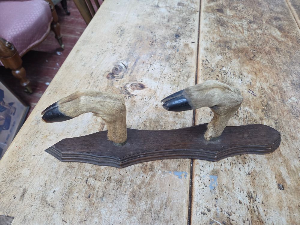 Lot 164 – A Vintage Taxidermy Deer Hoof Gun Rack