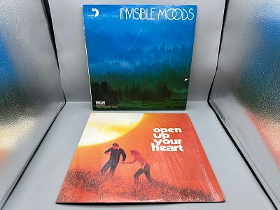 Lot of (2) Vintage Vinyl Albums: 1973 RCA Special Products / Reader's Digest 'Invisible Moods' 