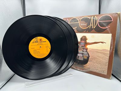 1976 Reprise Records Neil Young "Decade" 3-LP Vinyl Album Set - 3RS 2257 - Records are untested 