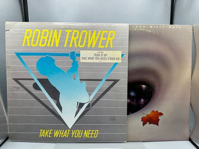 Robin Trower (2 LP Lot): Take What You Need (1988), promo notch in cover/promo stamped; and 
