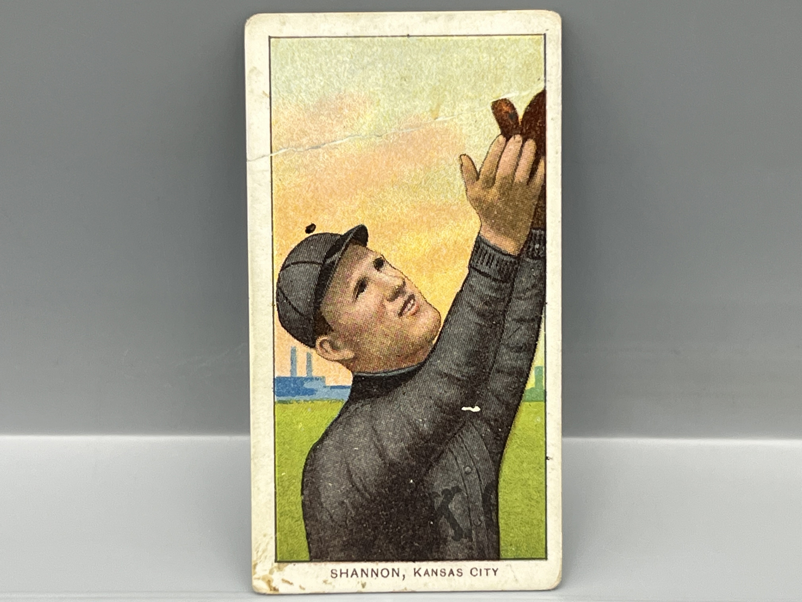 1909-11 T206 Spike Shannon Polar Bear Back