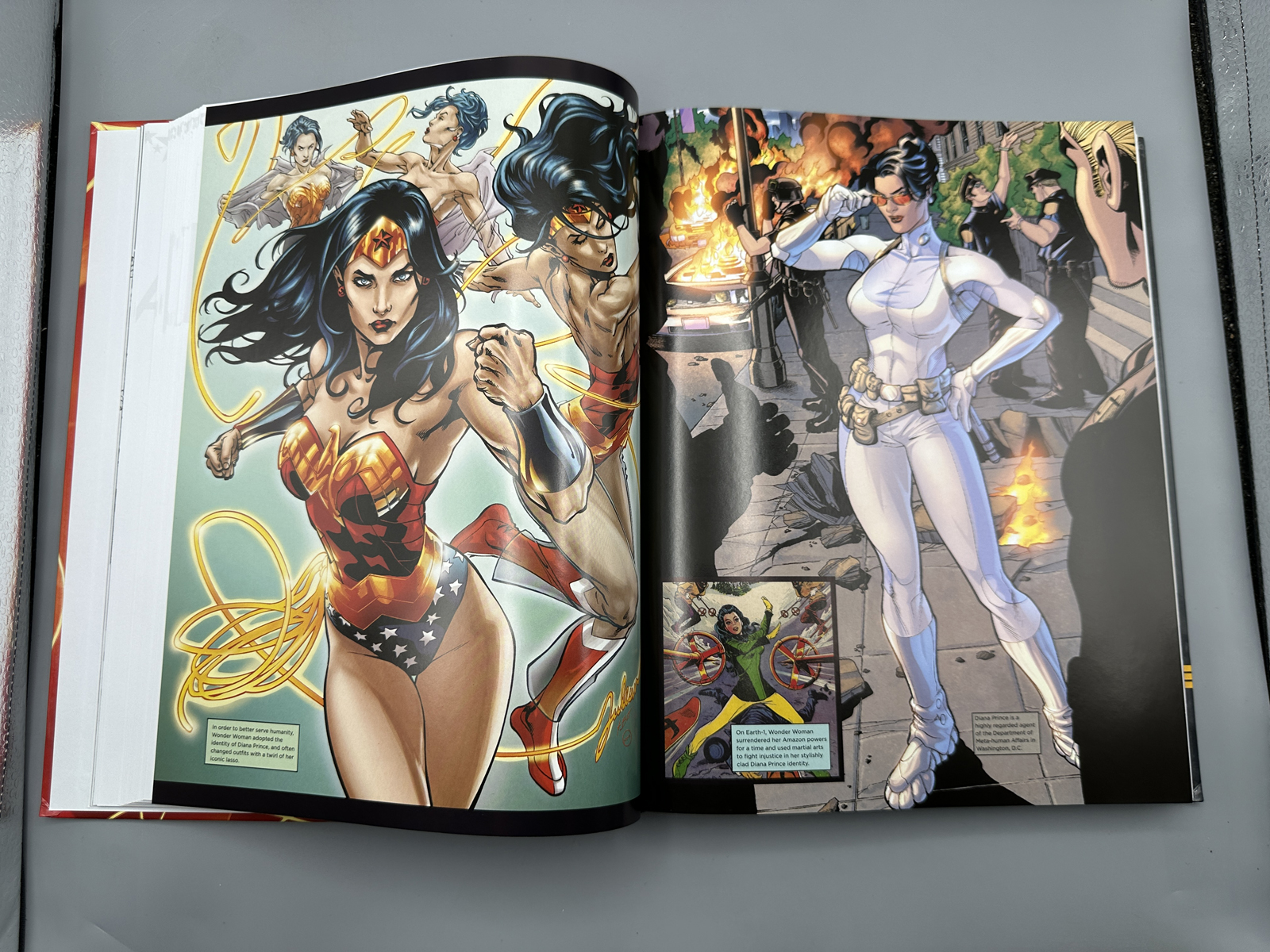 DC Comics / Del Rey The Essential Wonder Woman Encyclopedia Hardcover(2015) - Phil Jimenez and John Wells - Adam Hughes cover art