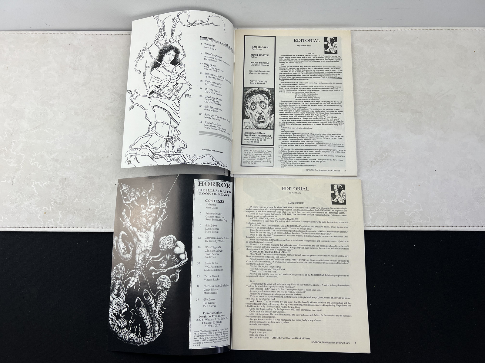 1989-90 Northstar Pub. Horror: The Illustrated Book of Fears #1, 2