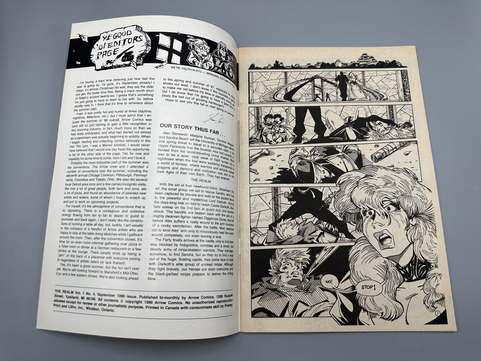 Arrow Comics The Realm #4 September 1986 - 1st app of Deadworld - Guy Davis Art