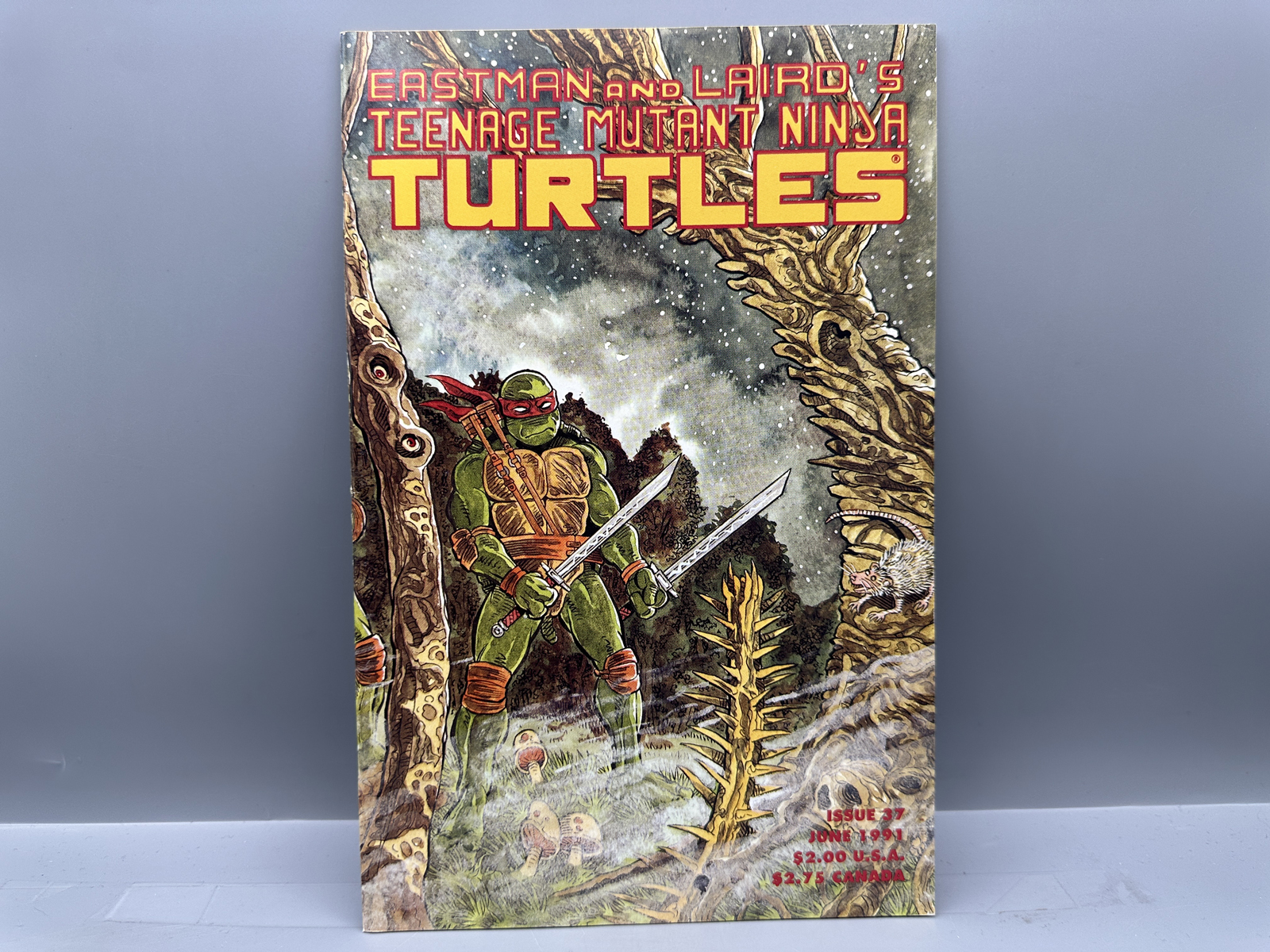 Mirage Publishing Teenage Mutant Ninja Turtles #37 June 1991