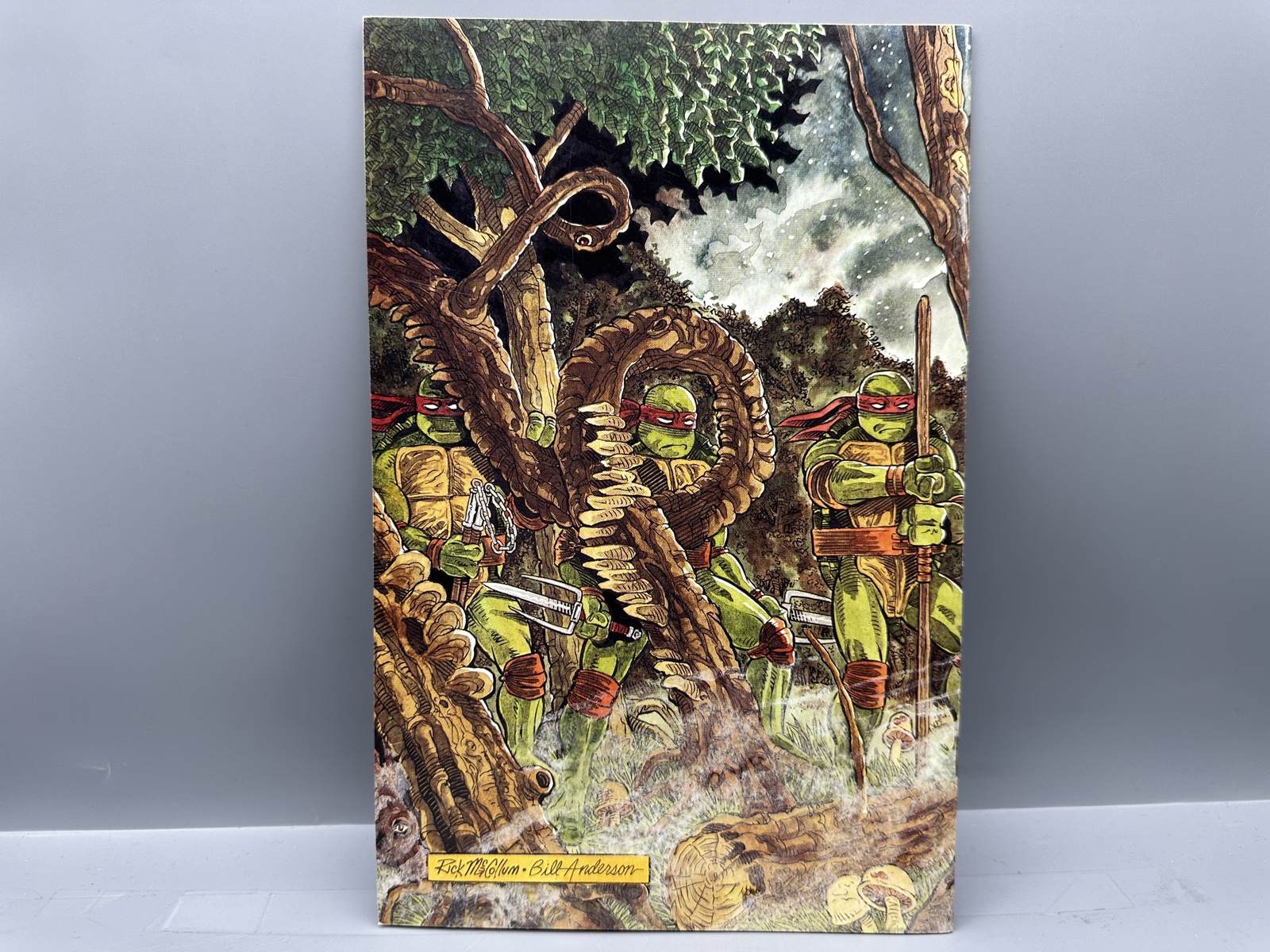 Mirage Publishing Teenage Mutant Ninja Turtles #37 June 1991