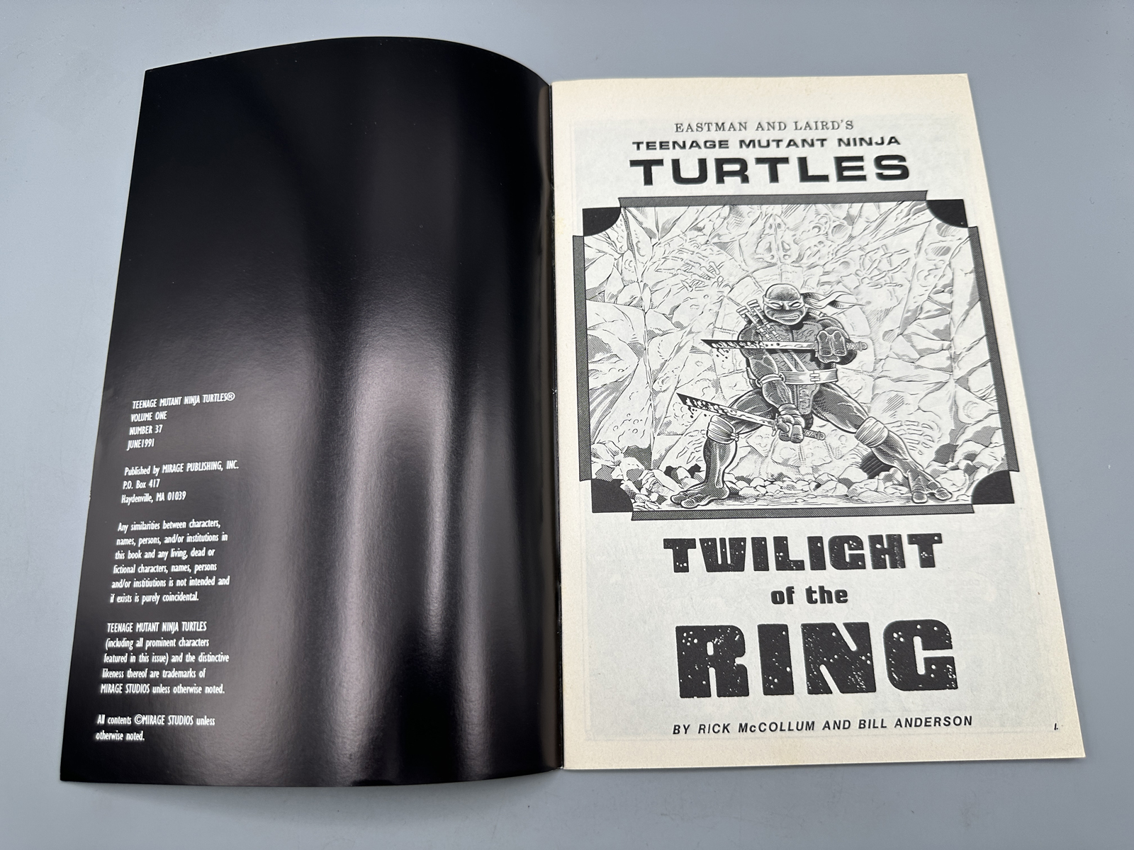 Mirage Publishing Teenage Mutant Ninja Turtles #37 June 1991