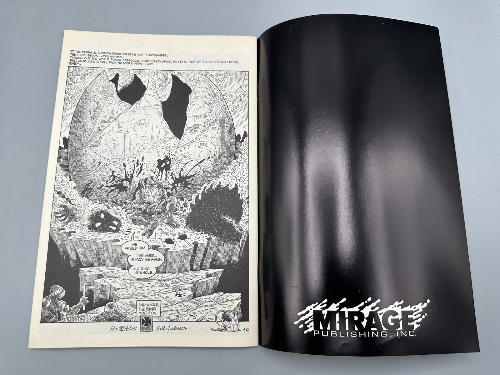 Mirage Publishing Teenage Mutant Ninja Turtles #37 June 1991
