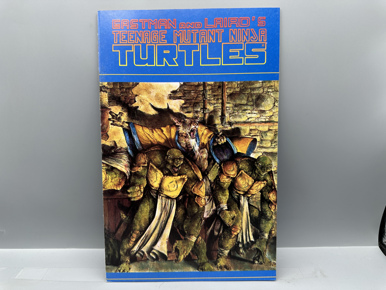 Mirage Publishing Teenage Mutant Ninja Turtles #35 March 1991