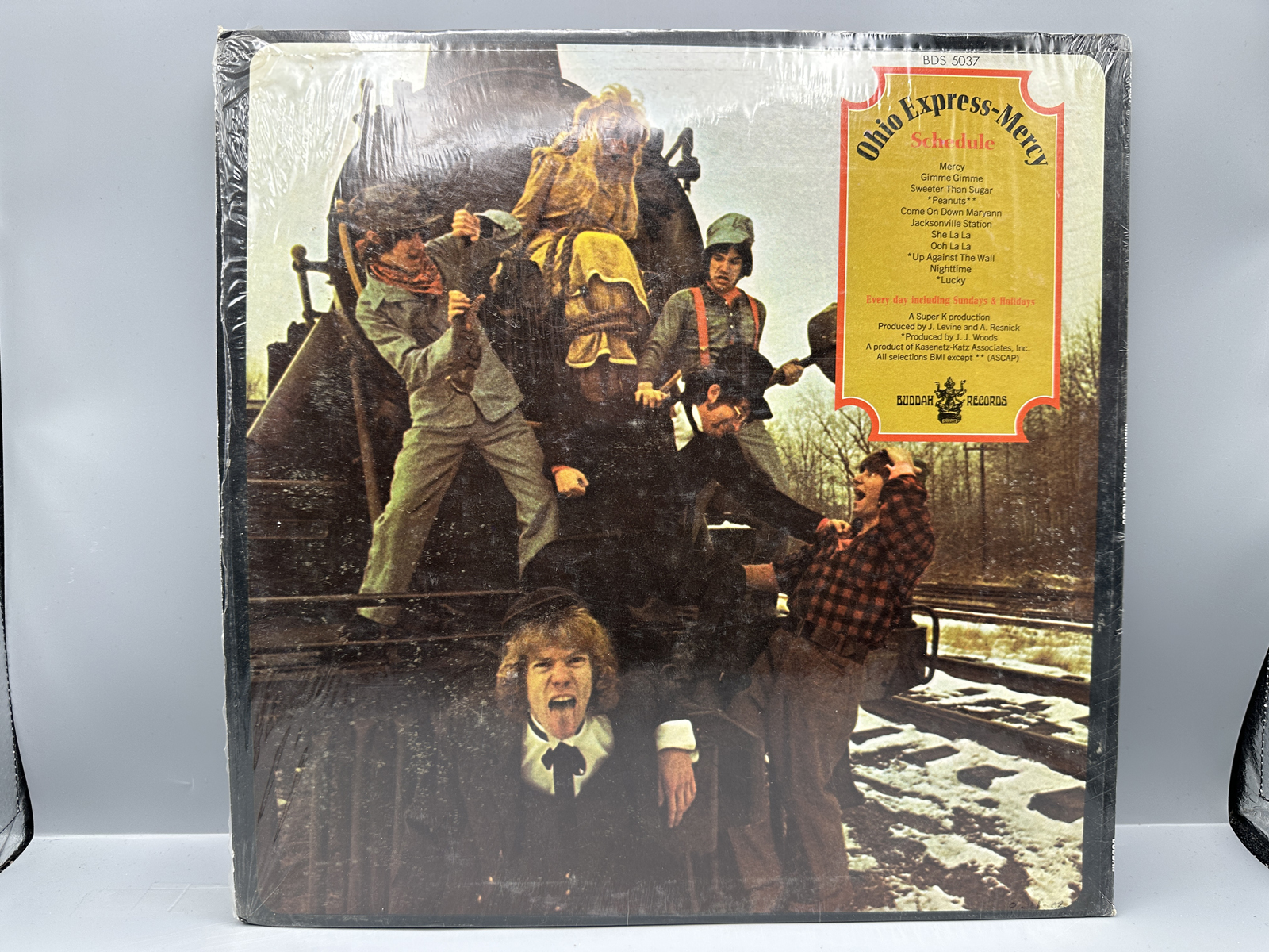 1969 Buddah Records Ohio Express Mercy Vinyl Album - BDS 5037