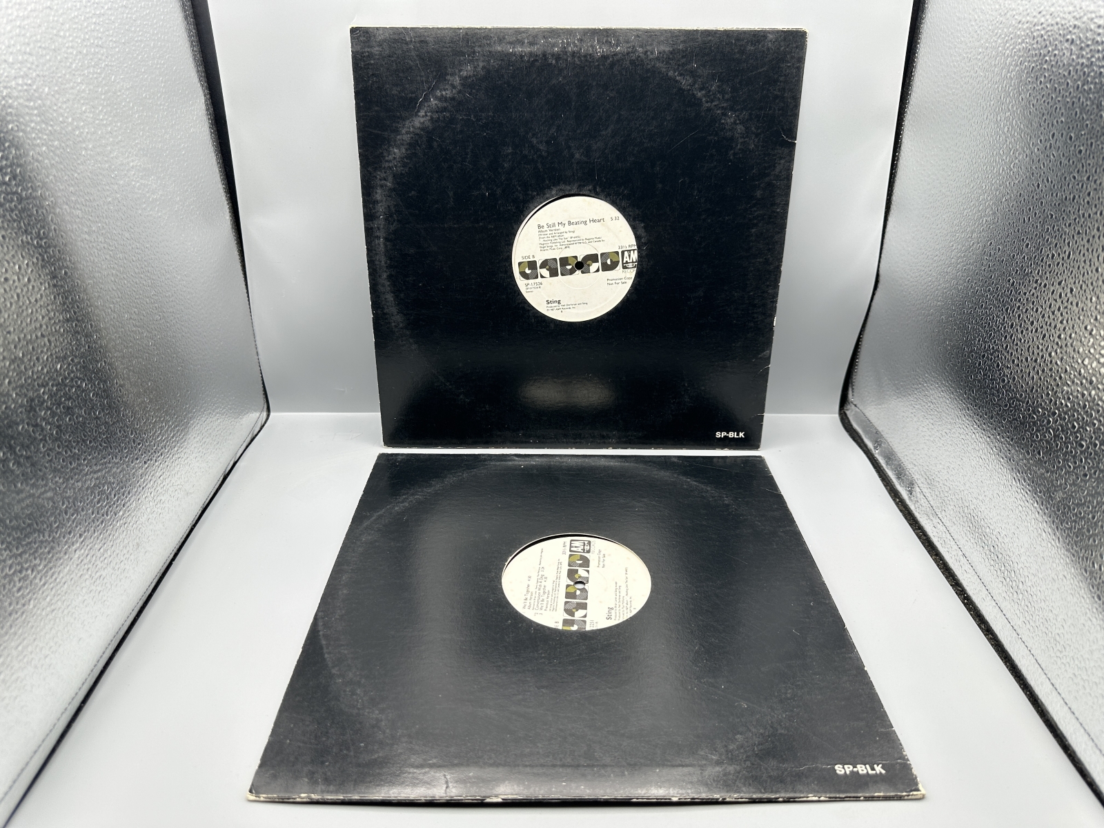 Sting (2 Record Lot): Be Still My Beating Heart (1987) and We'll Be Together/Conversation With A Dog (1987). Both records are 12-inch 33 1/3