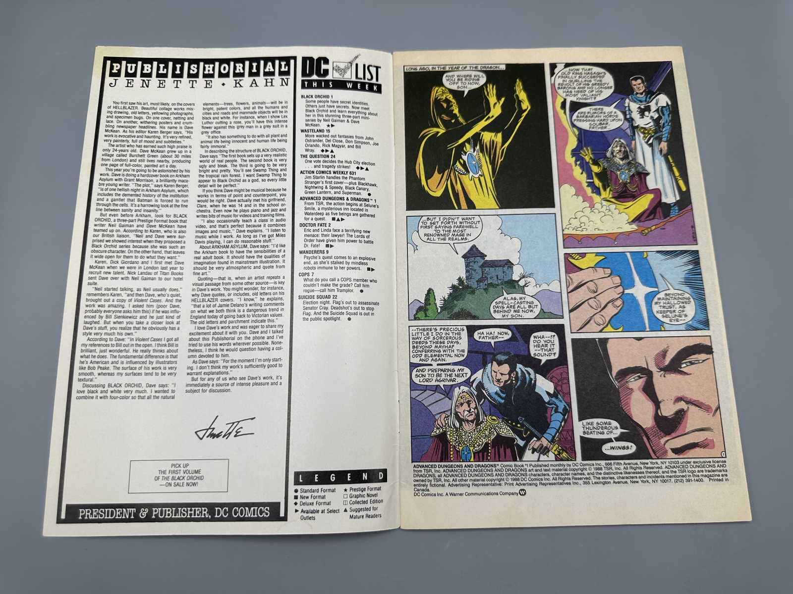 DC Comics Advanced Dungeons & Dragons #1 (1988) - Premiere issue - Jan Duursema art