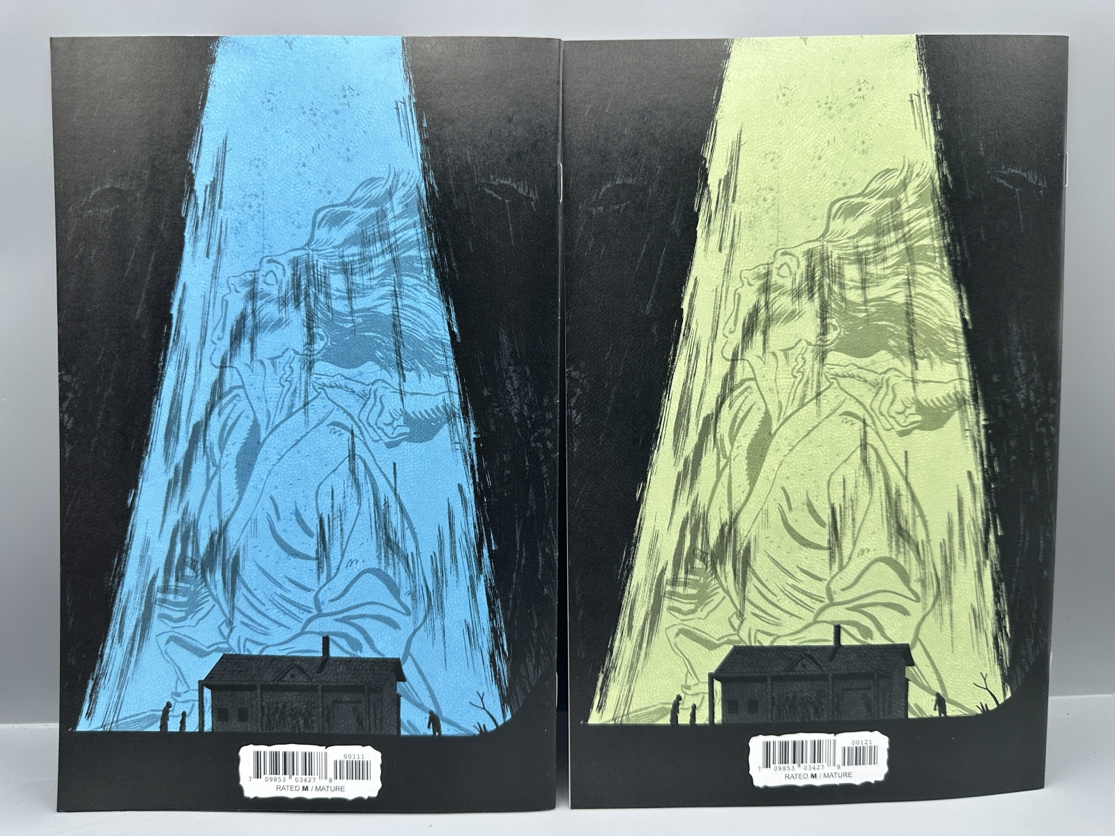 Image Comics I Hate This Place #1-2 (2022) - Standard and Explicit Variants - 1st appearances of Trudy and Gabby