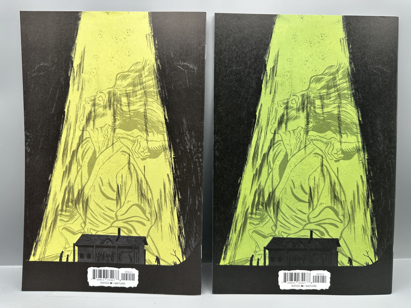 Image Comics I Hate This Place #1-2 (2022) - Standard and Explicit Variants - 1st appearances of Trudy and Gabby