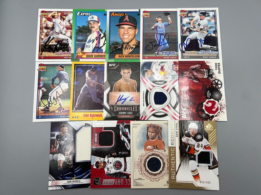 Lot of (14) Assorted Multi-Sport Relic & Autograph Cards