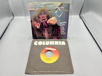 Two (2) 7-inch 45 rpm lot - Twisted Sister: I Wanna Rock/The Kids Are Back (1984), picture 