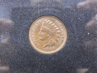 1899 Indian Head, Full Liberty Condition YES WE SHIP ALL COINS. Pricing depends on destination 