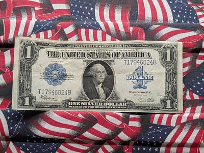 Large 1923 Series $1.00 Silver Certificate Condition PLEASE NOTE Some coins may have a grade on 