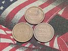 Three 1909 VDB Lincoln Wheat Cents
Condition 
PLEASE NOTE Some coins may have a grade on the Image - 1