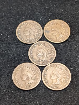 1881 to 1885 Indian Head Cents Condition PLEASE NOTE Some coins may have a grade on the package 