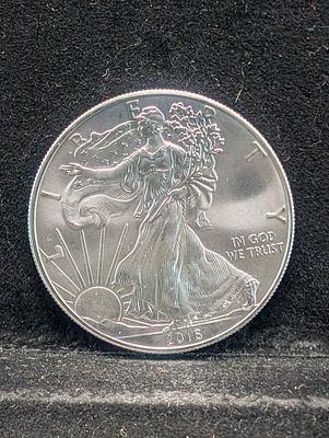 2016 American Silver Eagle - One Troy Ounce .999 Fine Silver Condition PLEASE NOTE Some coins 