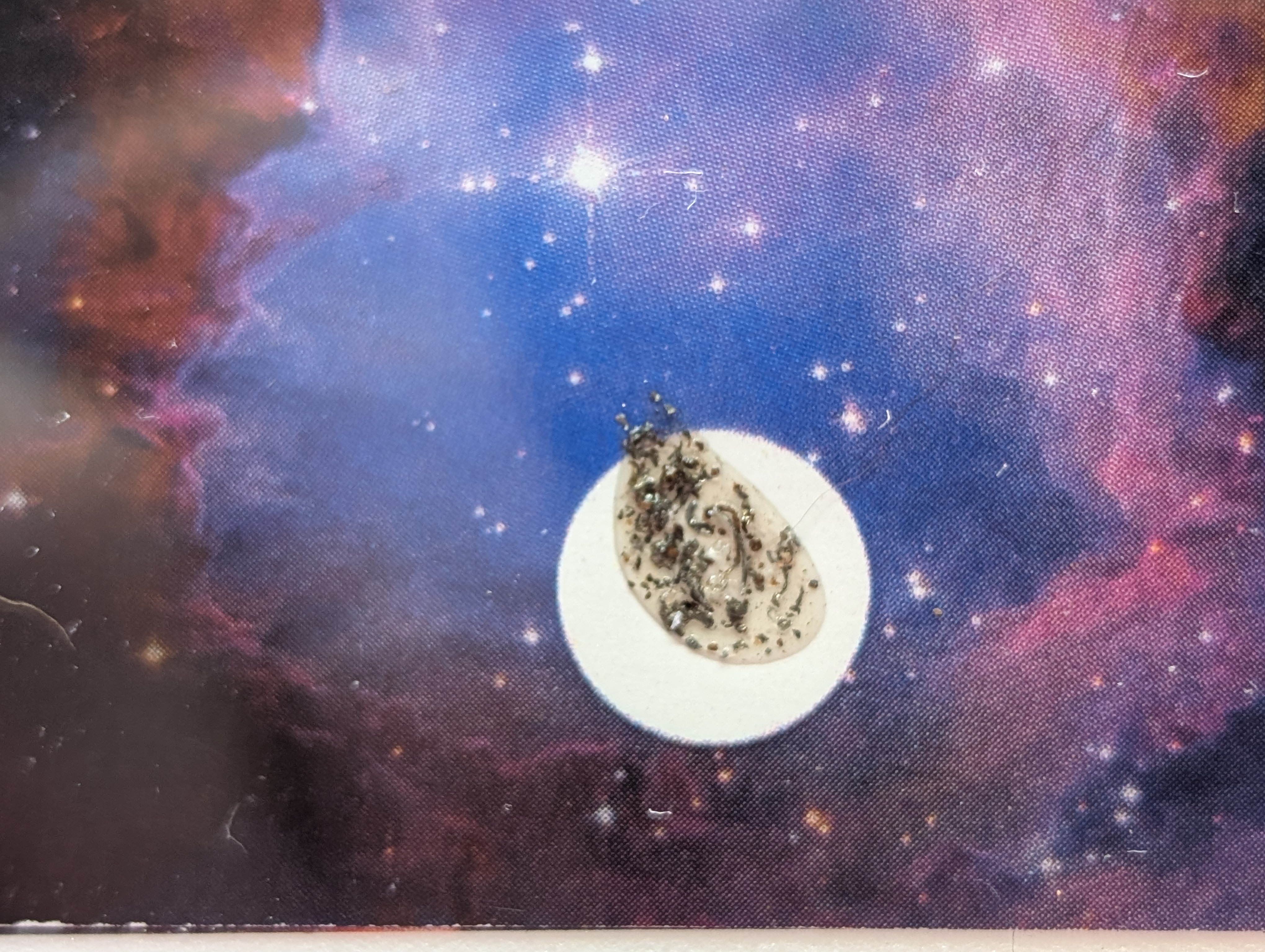 Authentic Campo del Cielo Argentina Meteor Shower & Meteorite Space Rock (2 PCS) - Slabbed International Numismatic Bureau