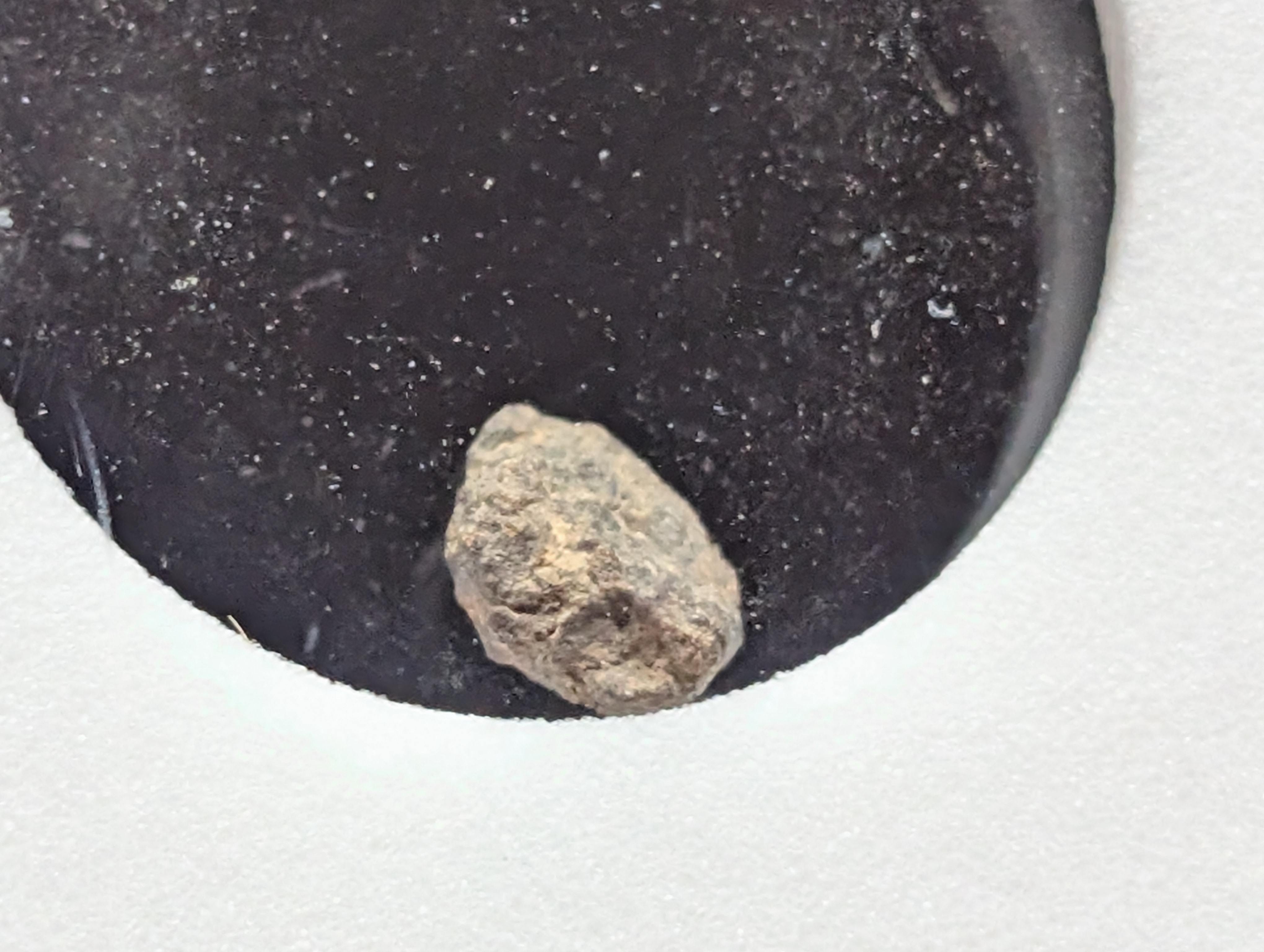 Authentic Meteorite Space Rock - North West Africa - Sahara Desert Find - Nickel Iron - Slabbed International Numismatic Bureau