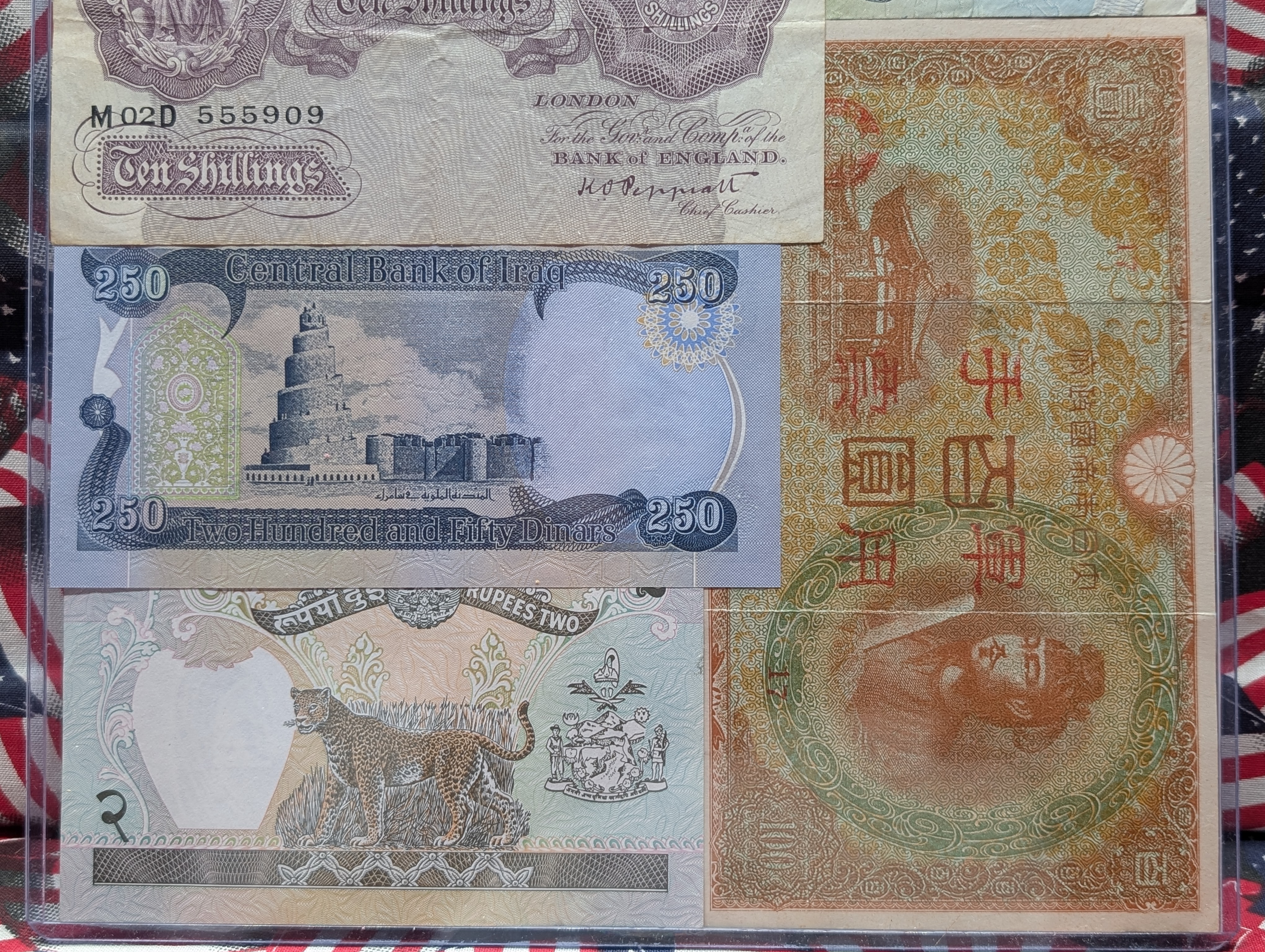 (7) Various World Currency Notes in Display