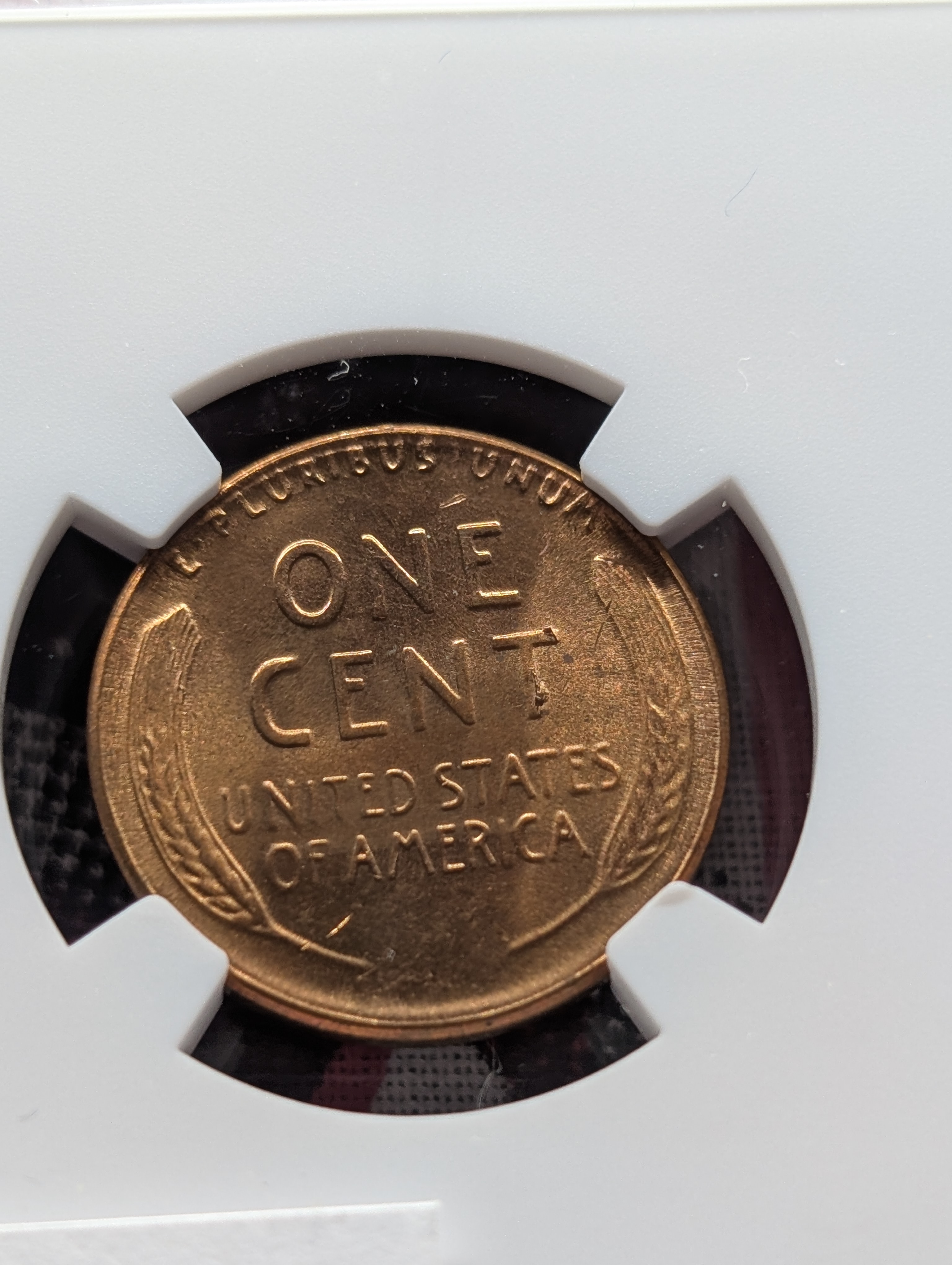 1955-P Lincoln Wheat Cent - NGC MS66 RD - Poor Man's Doubled Die