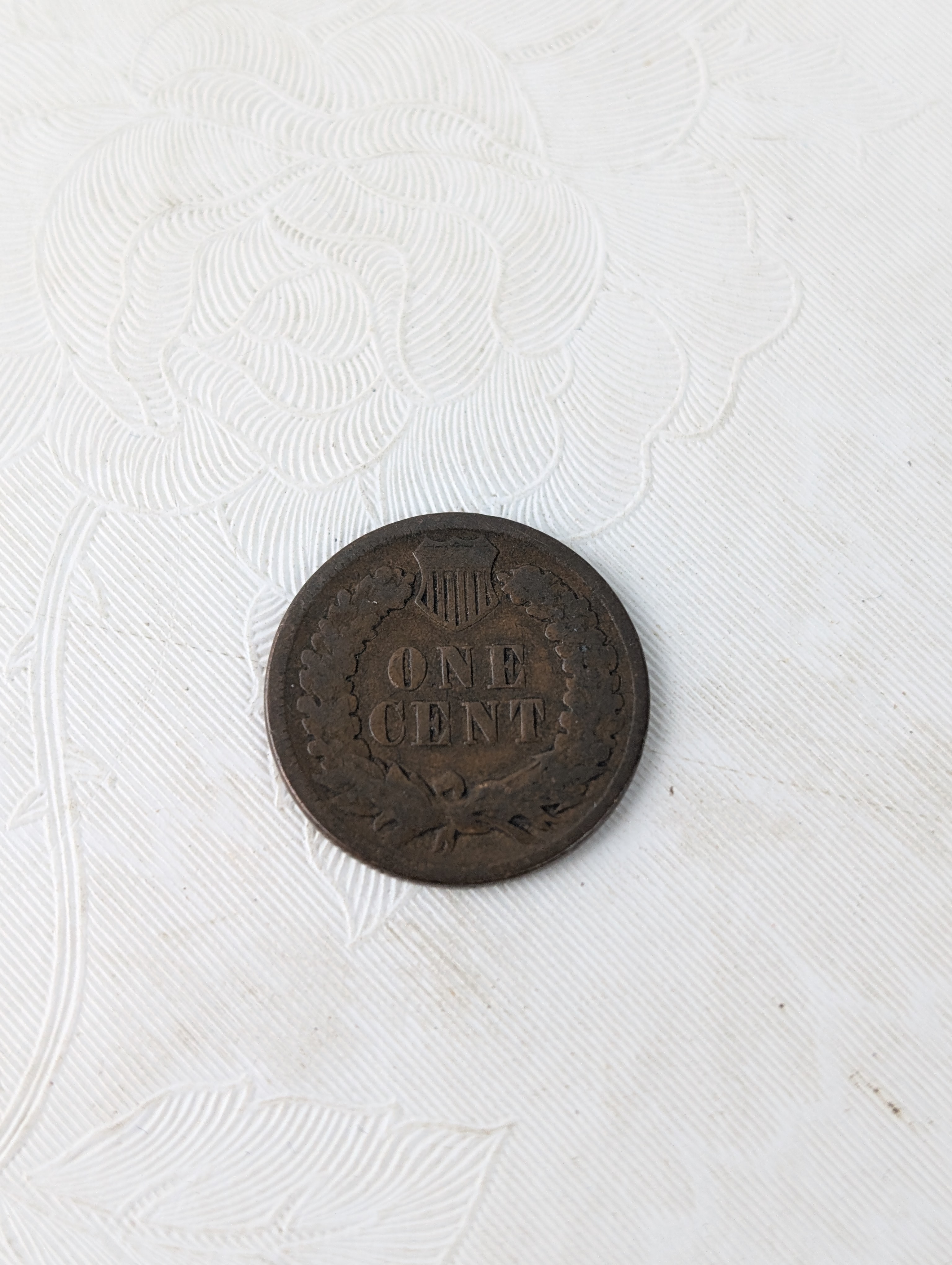 1894 Indian Head Cent - 132 Years Old!