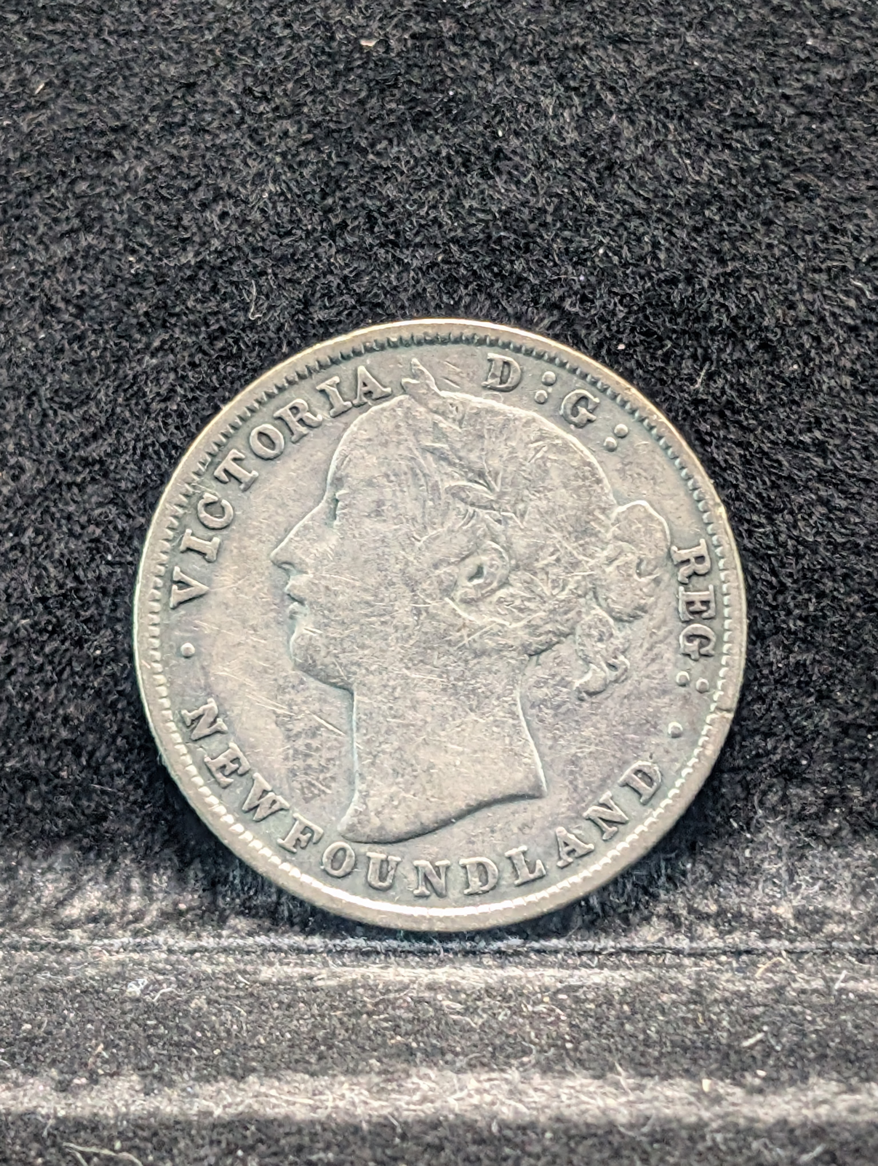 1894 Newfoundland 20 Cents Coin