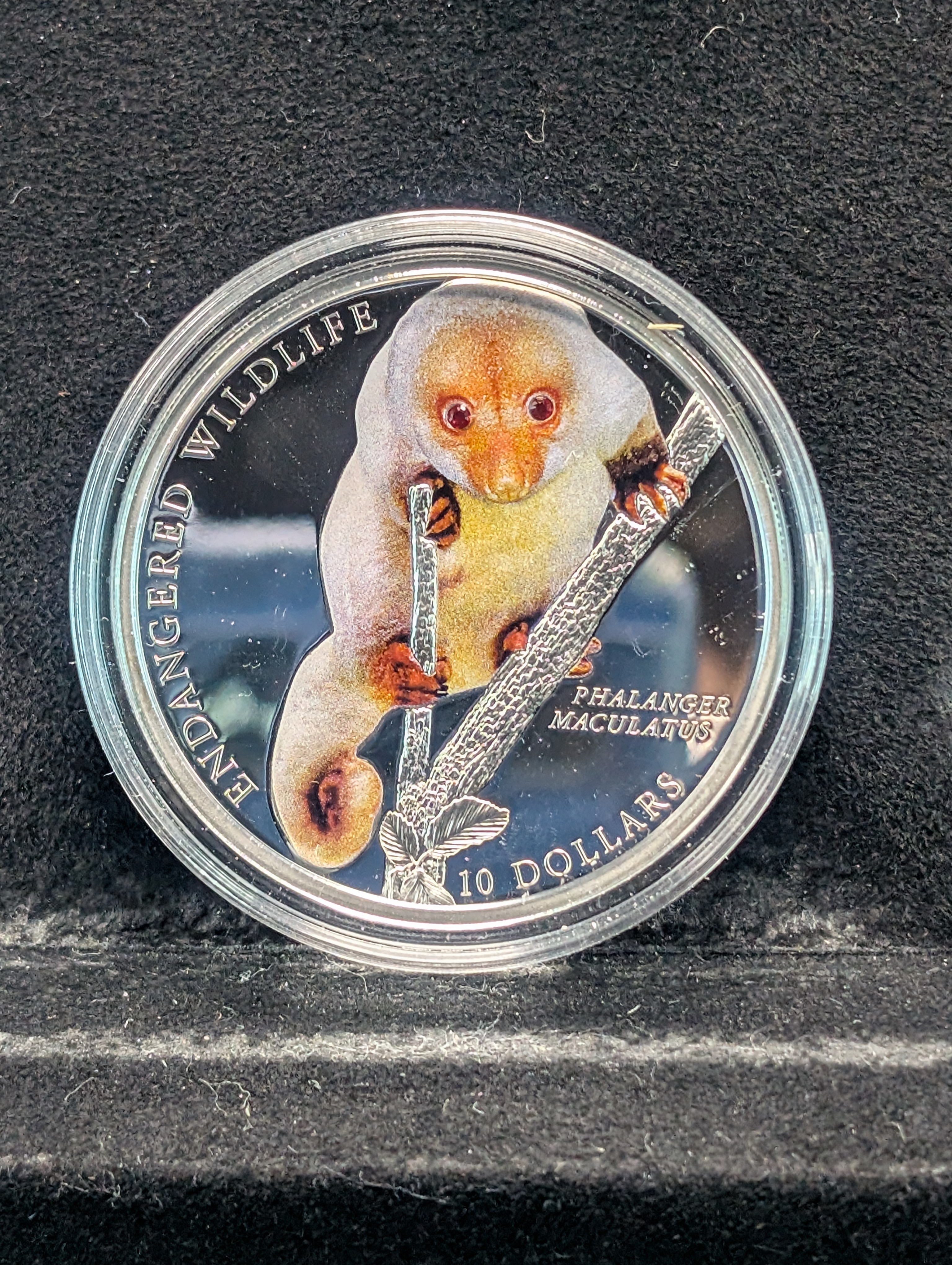 2010 Solomon Islands, Spotted Cuscus, Ten Dollars Coin, 25g, Sterling Silver With COA