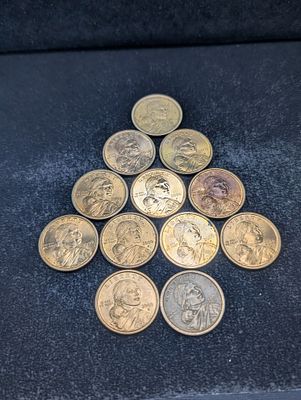 (9) 2000-P & (3) 2000-D Sacagawea One Dollar Coins. (9) 2000-P &amp; (3) 2000-D Sacagawea One 
