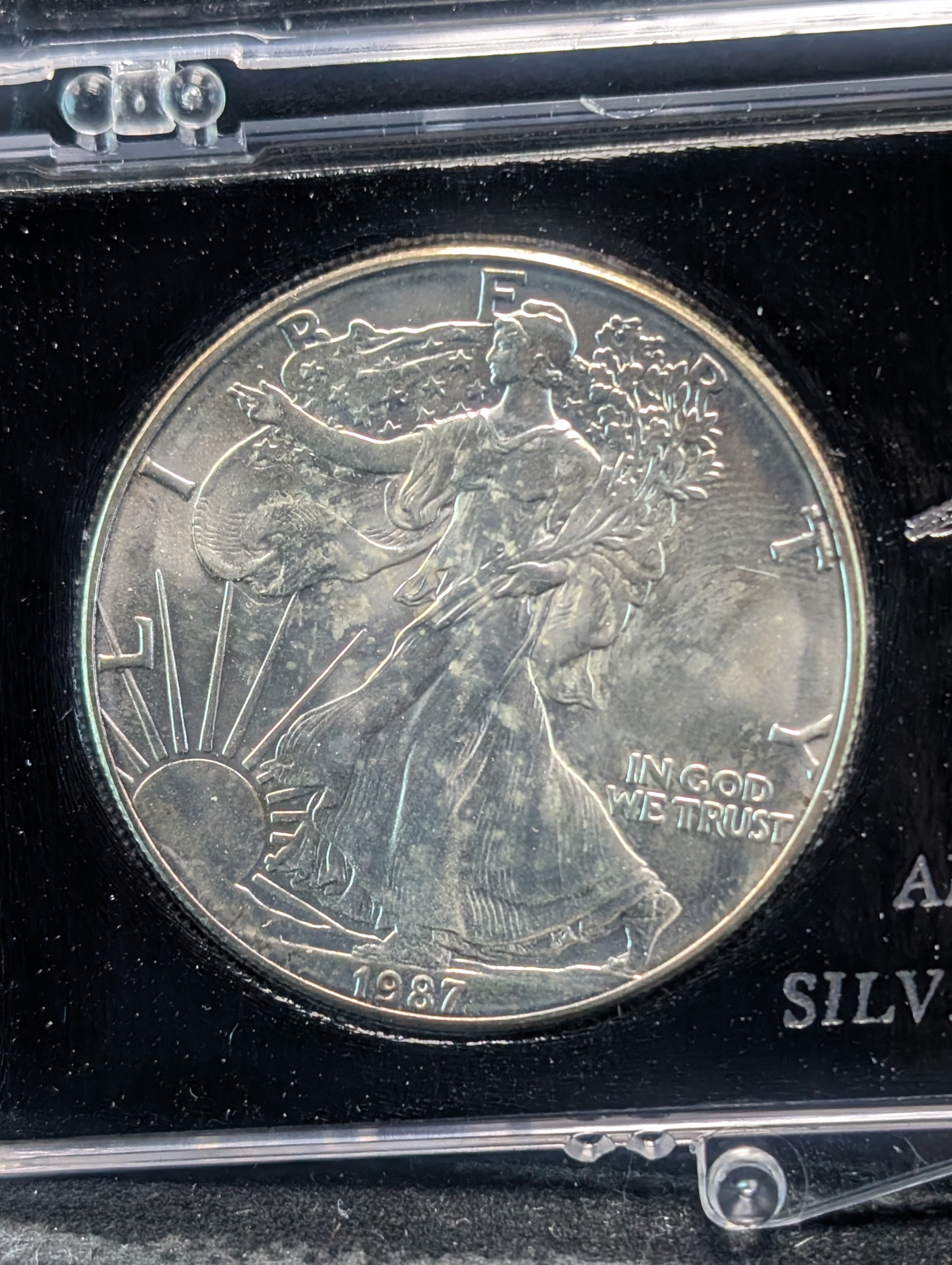 1987 American Silver Eagle, One Troy Ounce, .999 Fine Silver