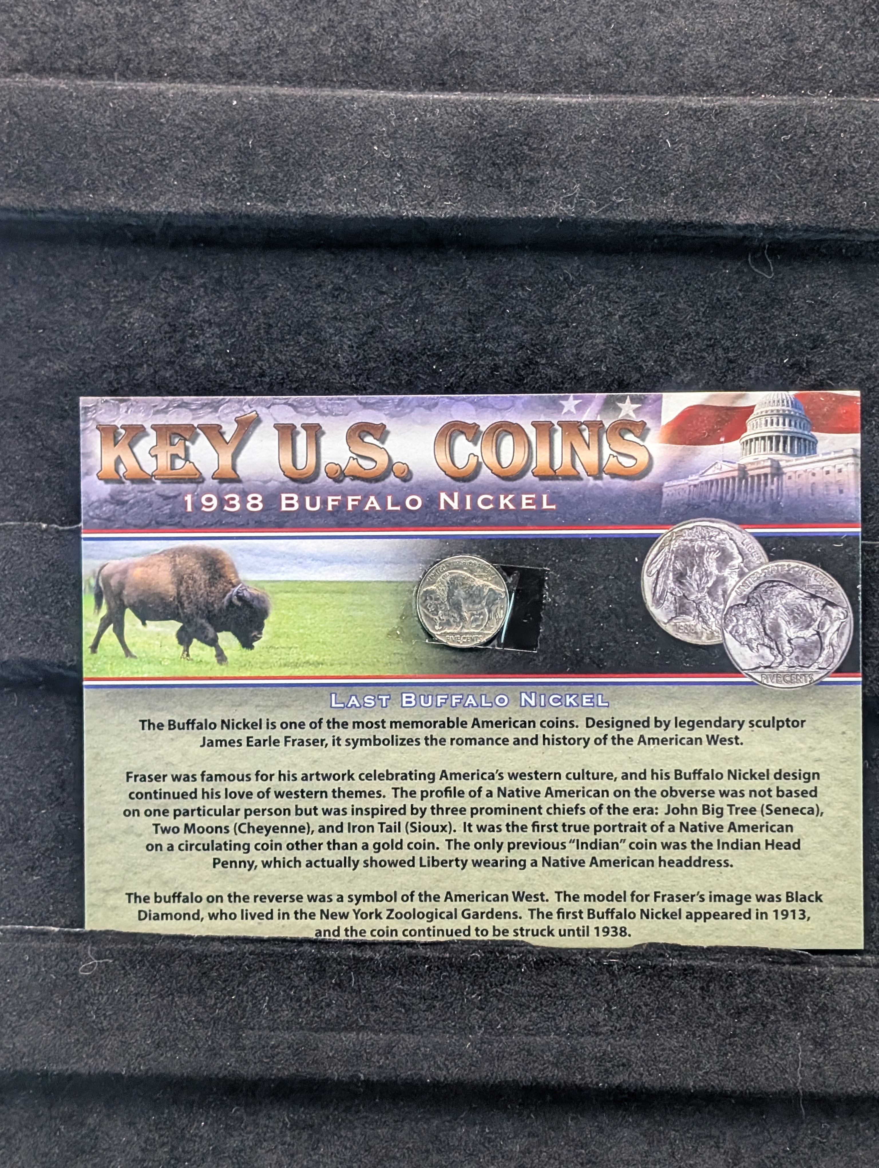 1938-D Buffalo Nickel, Key U.S. Coins With COA